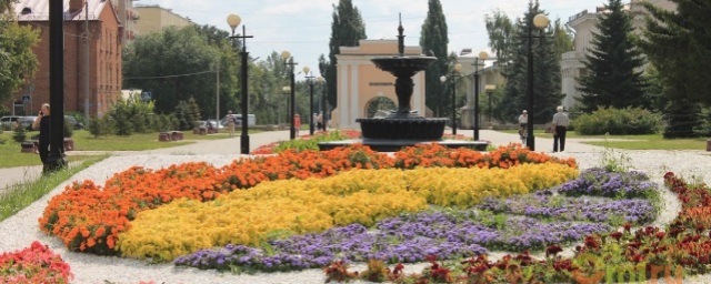 В Омске высадили свыше 180 тысяч цветочных саженцев